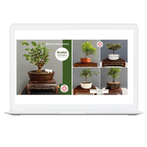 Sin título-1_Mesa de trabajo 1